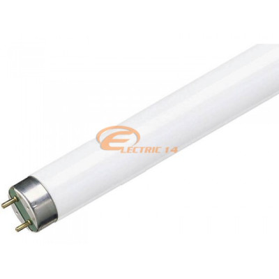 Tub Neon T8 18w/54 Philips