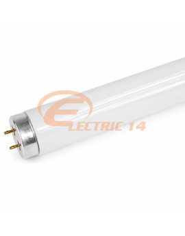 Tub Neon T12 20w Moon